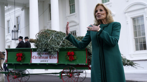 Цагаан ордонд Зул сарын гацуур авчиржээ