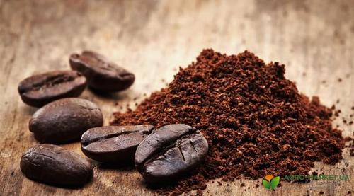 Кофены шаараар бетон бүтээх аргыг боловсруулжээ