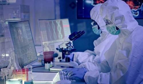 Британид гахайн ханиад хүнд халдварласан анхны тохиолдол бүртгэгджээ