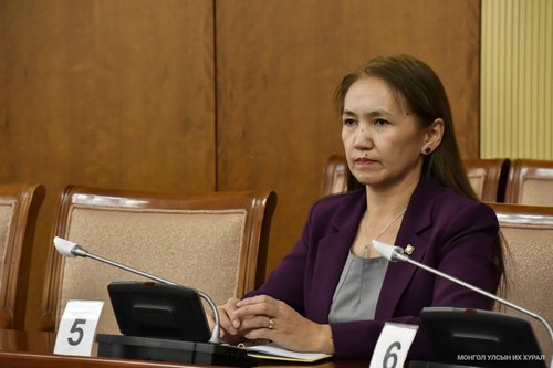 Д.Сүнжидийг ХЭҮК-ын комиссын даргаар томиллоо