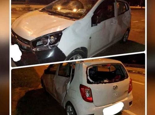 Малайзад тугалыг нь мөргөсөн жолооч руу сүрэг заан дайрчээ