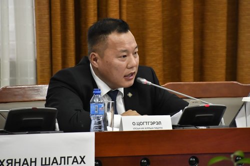 О.Цогтгэрэл намын нөхрөө өмгөөлөх үгээ олж ядав