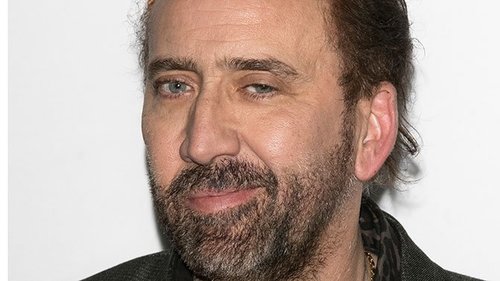 Николас Кейж уран бүтээлийн замналаа өндөрлөж байгаагаа зарлав