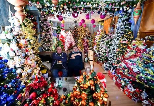 ФОТО: Герман гэр бүл гэртээ 555 гацуур засжээ