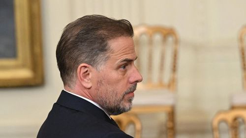 Байдены хүүг их хэмжээний татвар төлөхөөс зайлсхийсэн хэрэгт буруутгаж байна