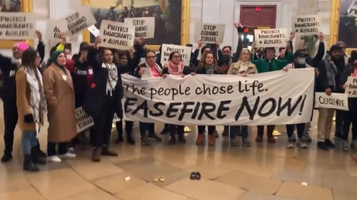 Палестиныг дэмжигчид Капитолийн ордон руу халджээ