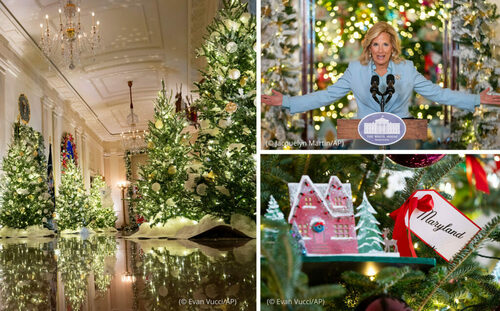 АНУ-ын тэргүүн хатагтай шинэ жилийн баярт бэлдэн, 98 гацуур, 15кг шоколад худалдан авчээ