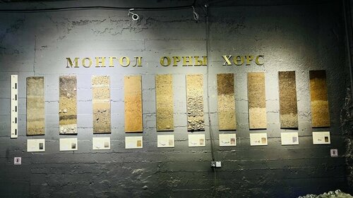 Монгол орны хөрсний бодит үзүүлэнг Байгалийн түүхийн музейд байршуулжээ