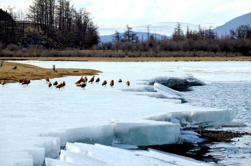 Өнөөдөр Улаанбаатарт 2 хэмийн дулаан байна