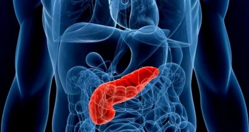 Хүүхдүүд нойр булчирхайн үрэвслээр өвчилж байна