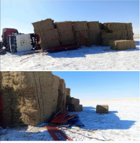 Эвдэрсэн машинаас өвс, шатахуун хулгайлсан хүмүүсийг олжээ