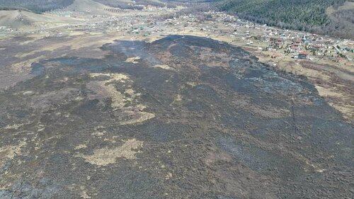 Шар өвс шатаасан иргэнийг 100 мянган төгрөгөөр торгожээ