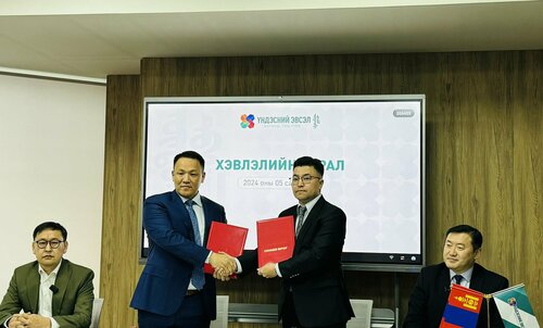  “Үхрийн бөөр”