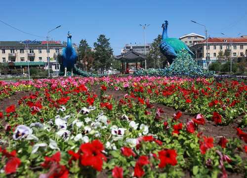 Улаанбаатарт 26 хэм дулаан байна