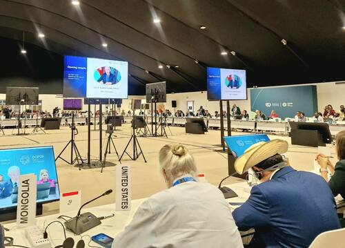 “Уур амьсгалын урт хугацааны санхүүжилт” сэдэвт Сайд нарийн дээд хэмжээний хэлэлцүүлэг боллоо