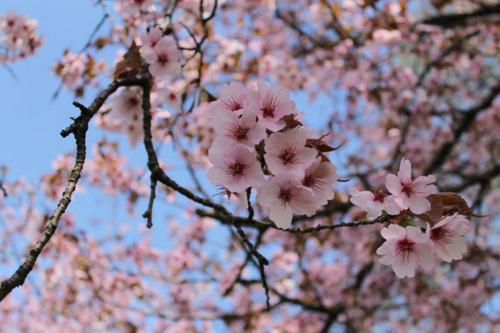 Өдөртөө +13…+15 хэм байна